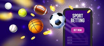 81bet3